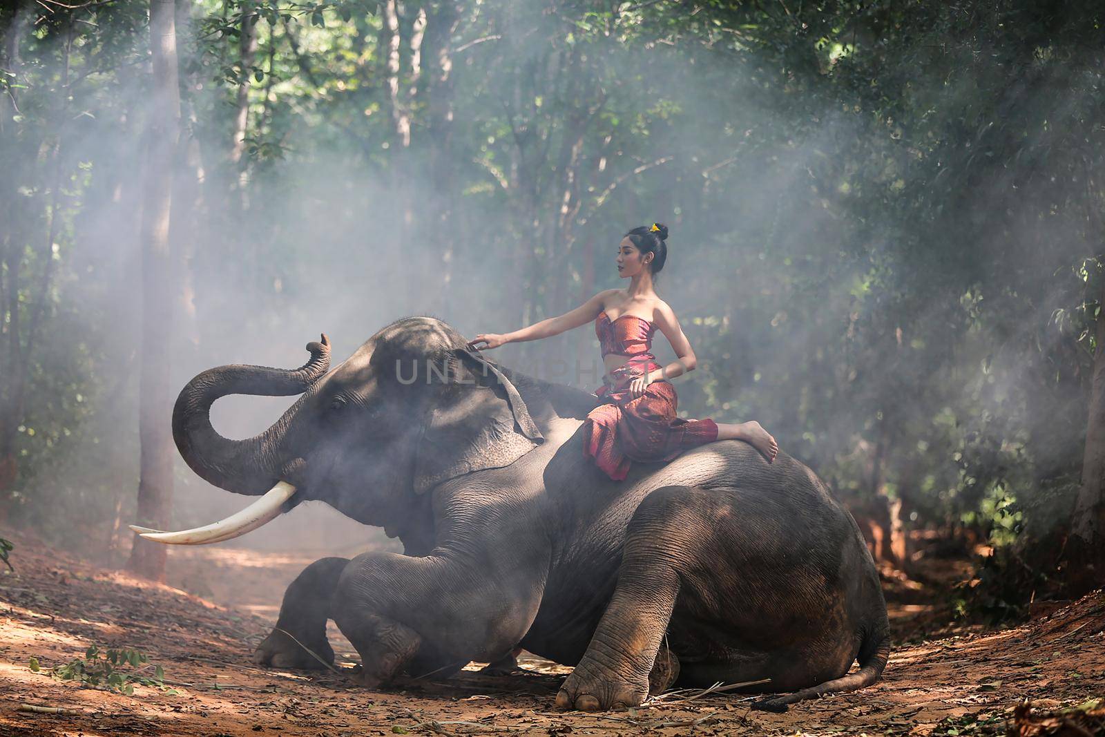 Thailand Countryside; Silhouette elephant on the background of sunset, elephant Thai in Surin Thailand. by chuanchai