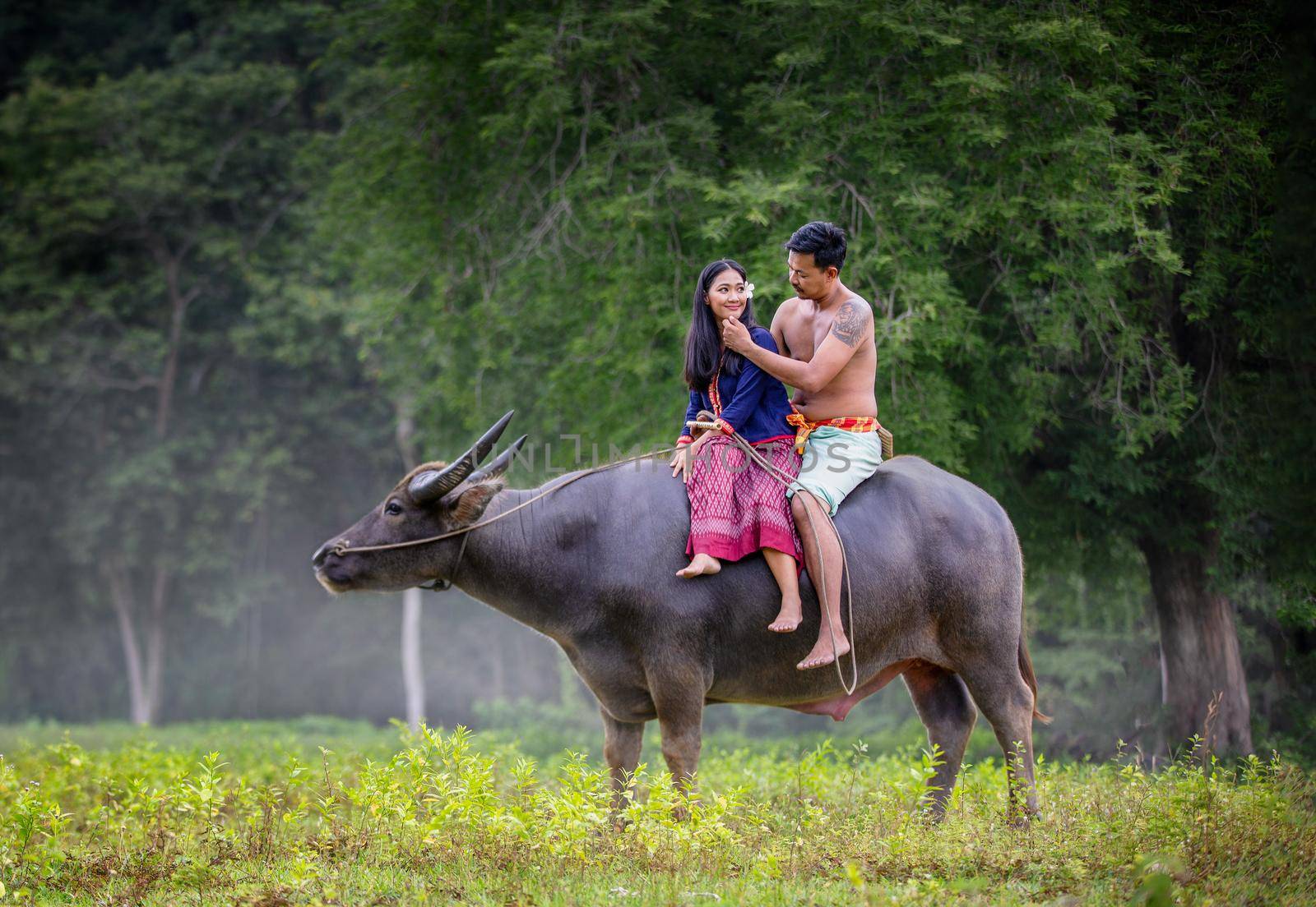 Men and women riding buffalo in rural fields