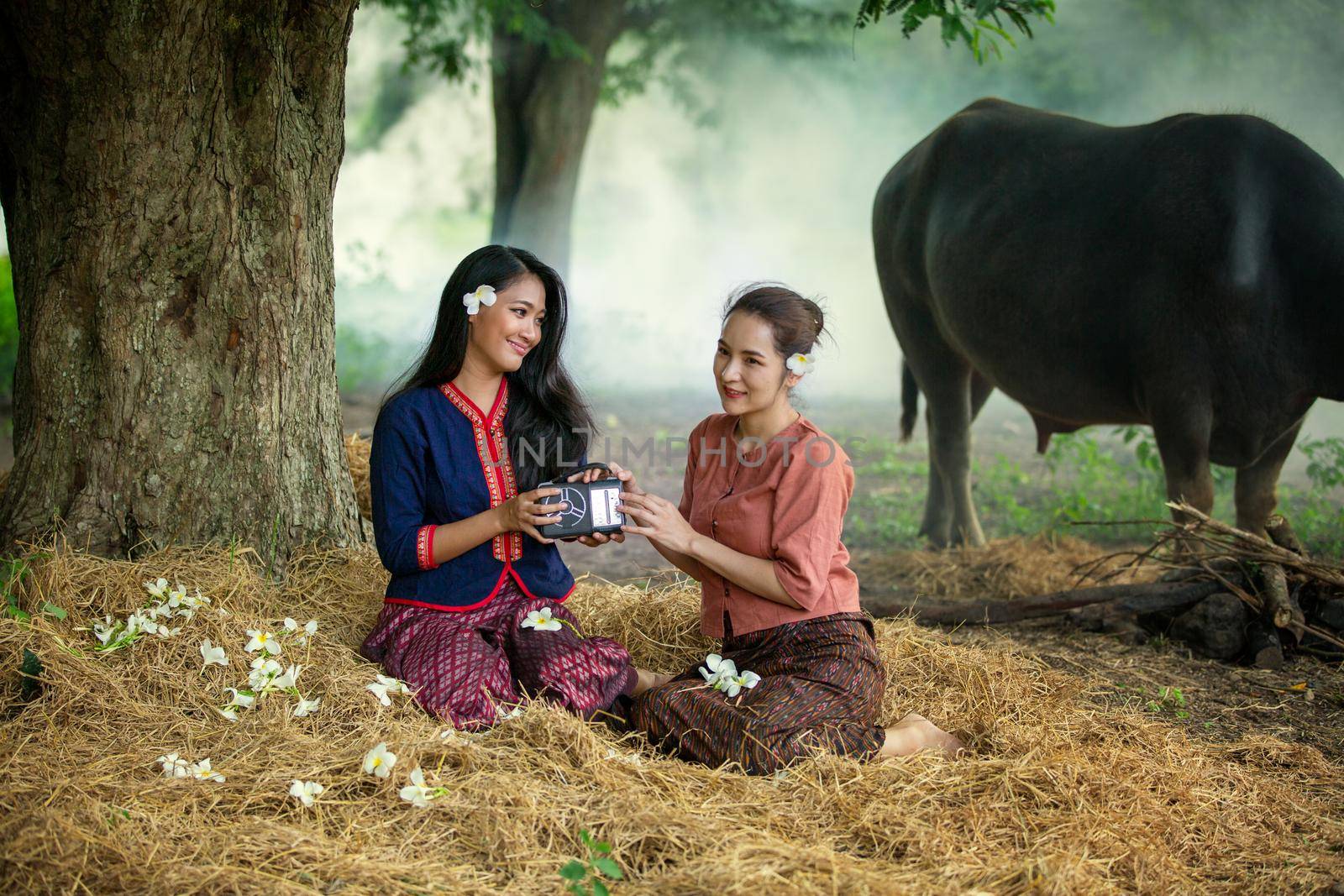 portrait of beautiful Asian woman and buffalo in field at farmland. by chuanchai