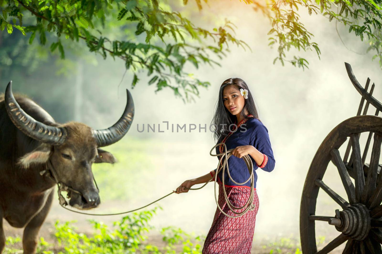 portrait of beautiful Asian woman and buffalo in field at farmland.