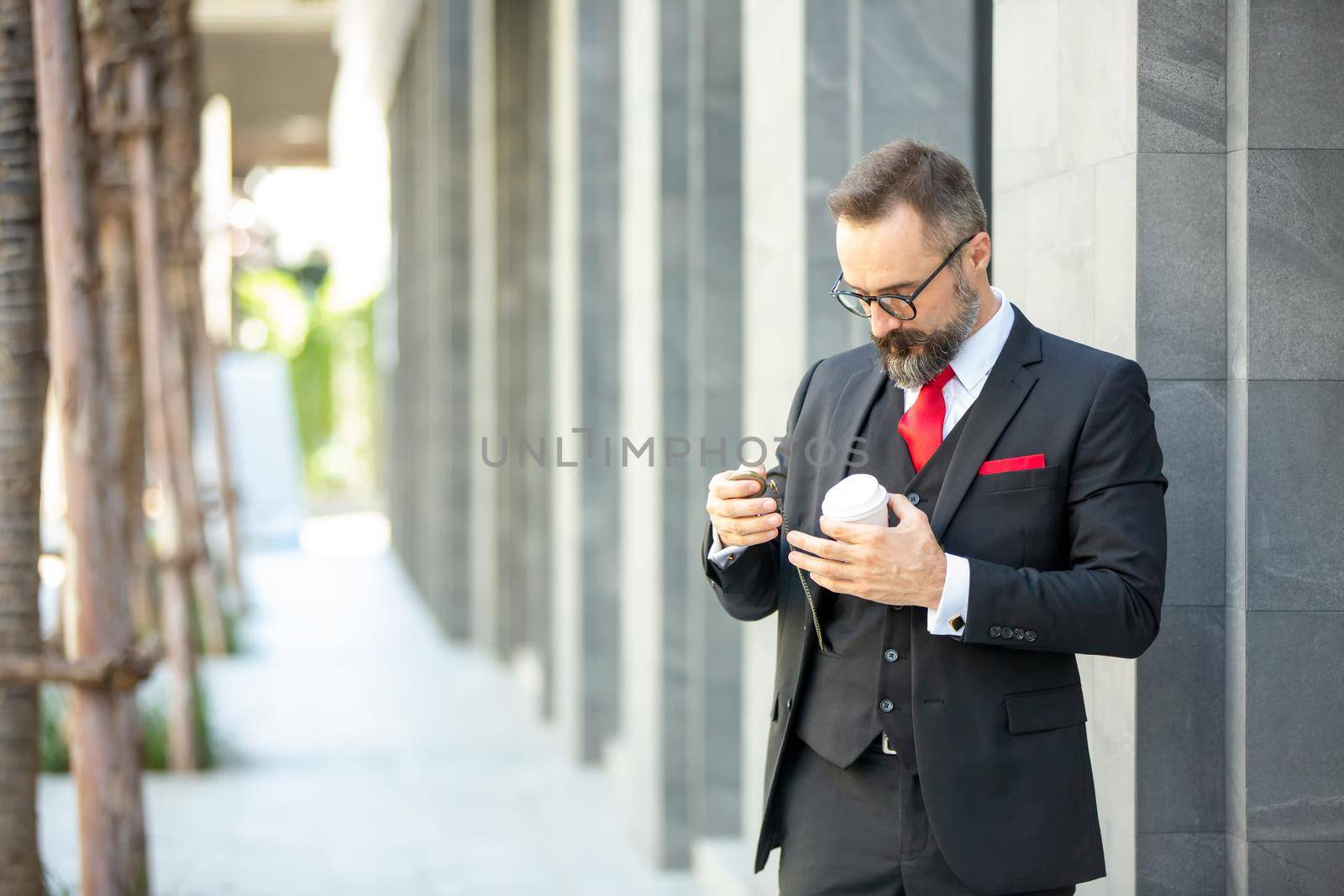 Bearded hipster businessman or Businessman hipster with stylish beard portraits. by chuanchai