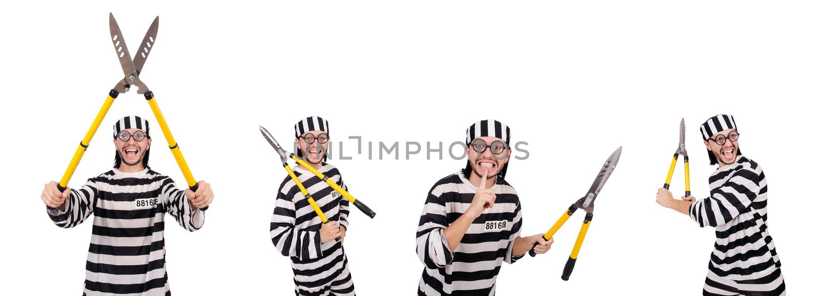 Prison inmate isolated on the white background