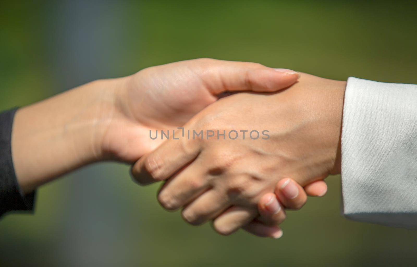 Business people shaking hands, finishing up a papers signing. Meeting, contract and lawyer consulting concept.