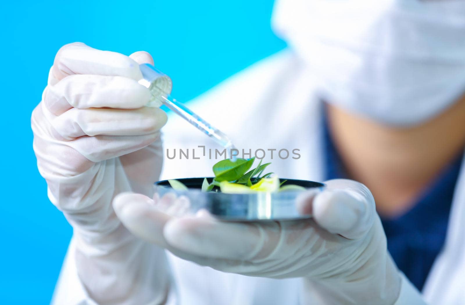 Biochemistry specialist experiment on Natural organic botany and scientific glassware, Alternative herb medicine, Natural skin care beauty products, Research and development concept