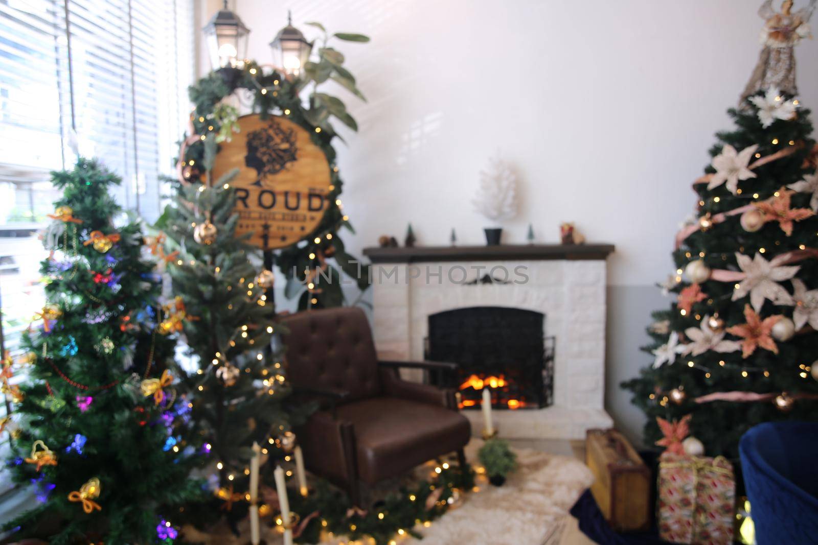 Christmas tree and decoration