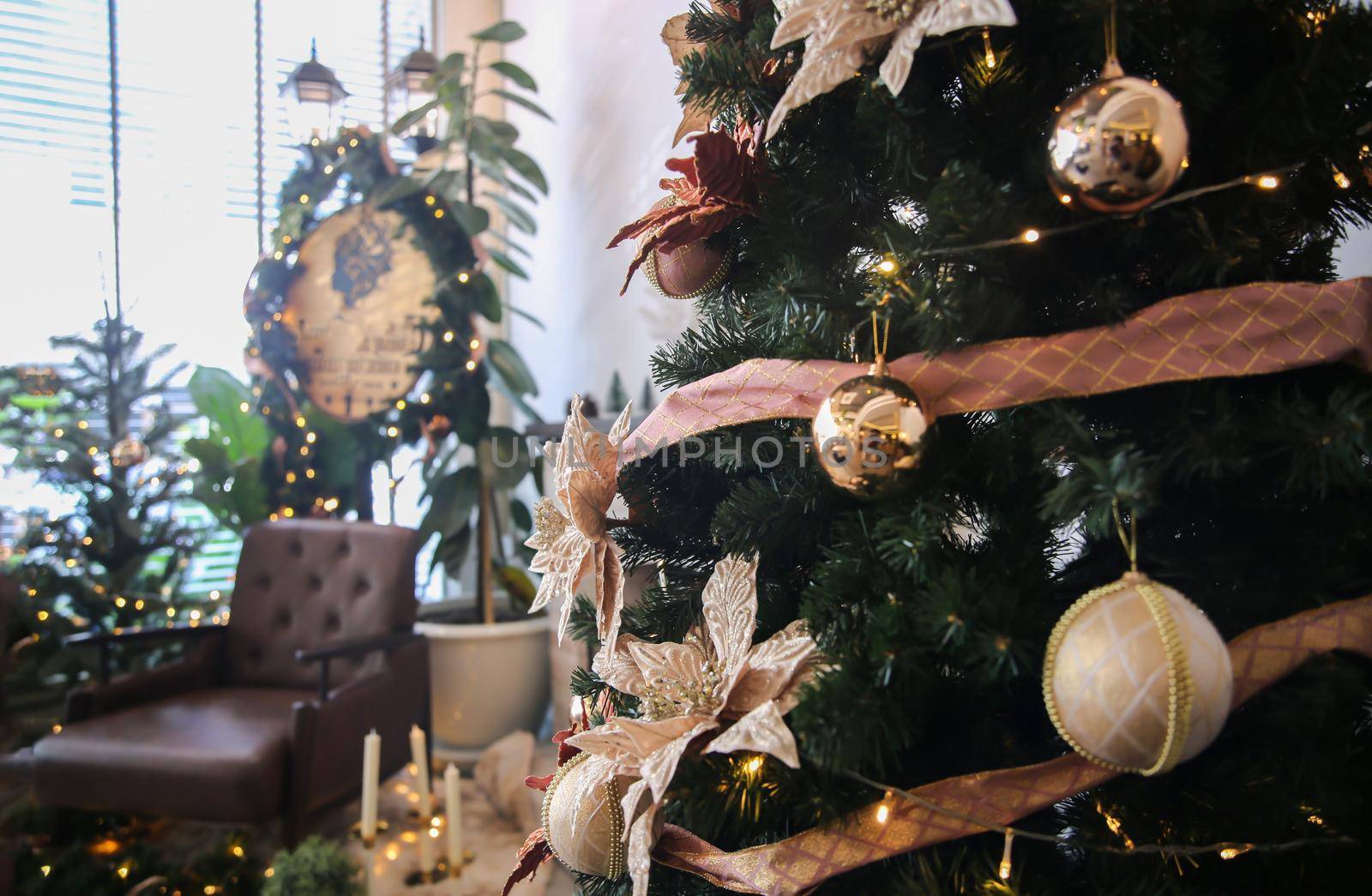 Christmas tree and decoration