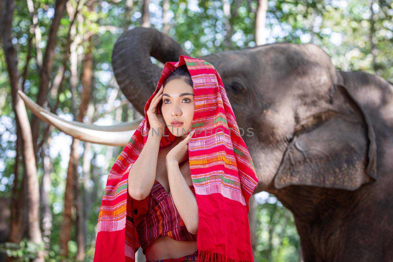 Elephant with Asian girl