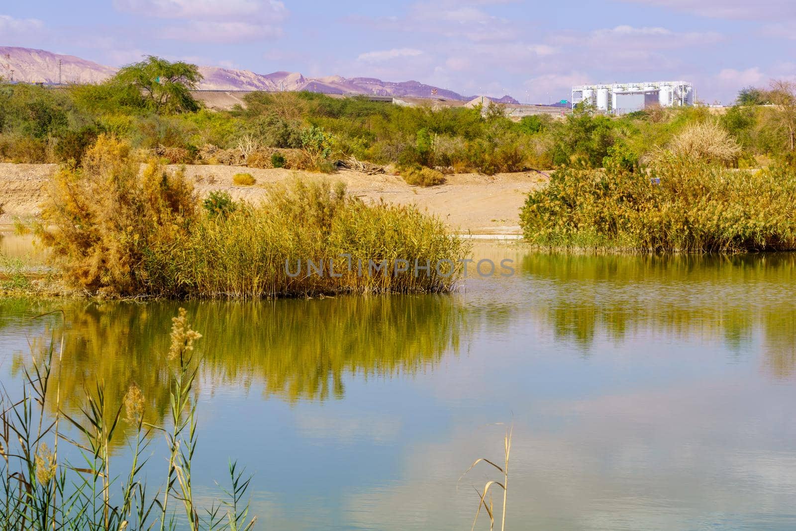 Water pool in the Eilat Ornithological Park, southern Israel