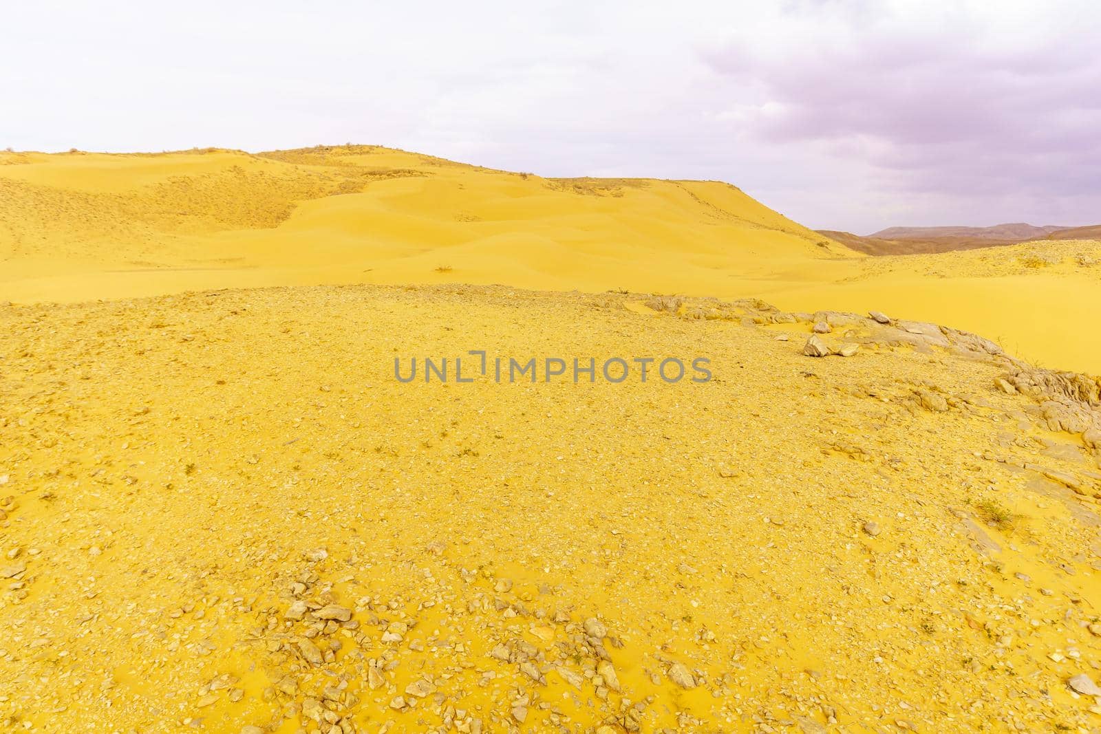 Desert landscape and sand dunes in the Uvda valley by RnDmS