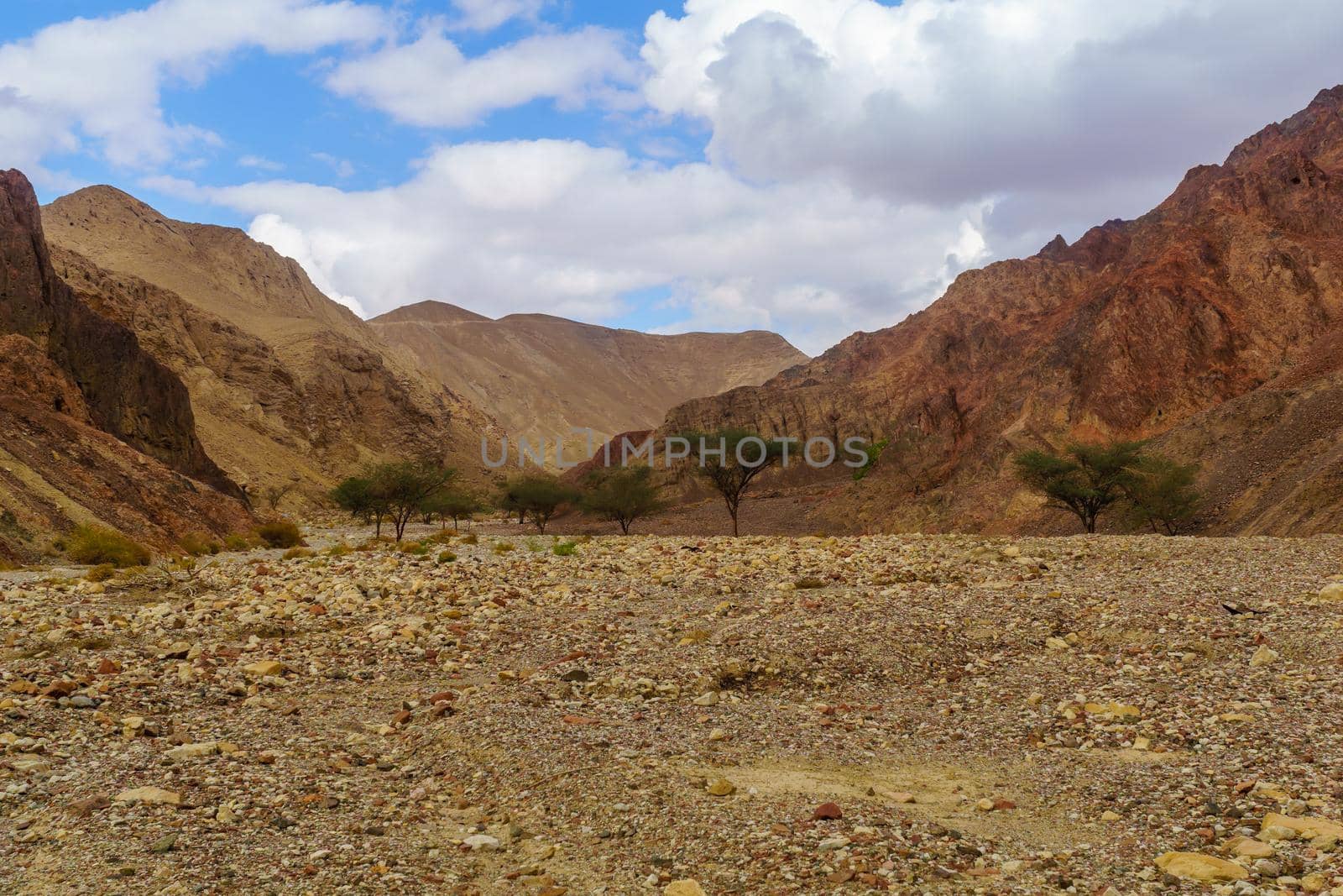 View of the Nahal Shlomo (desert valley). Eilat Mountains, southern Israel