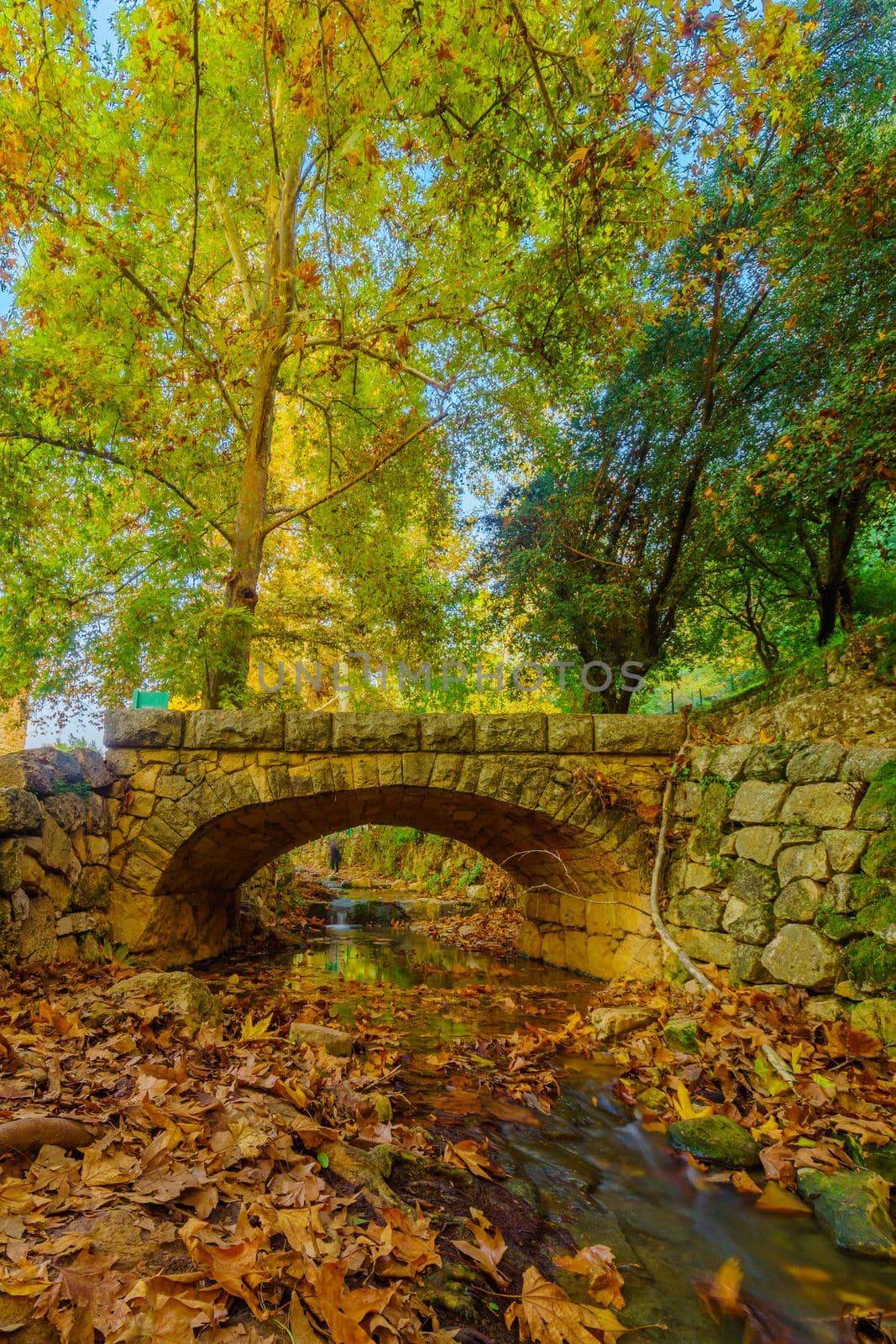 View of the Kesalon Stream with a stone bridge, trees, and fall foliage, in En Hemed National Park (Aqua Bella), west of Jerusalem, Israel