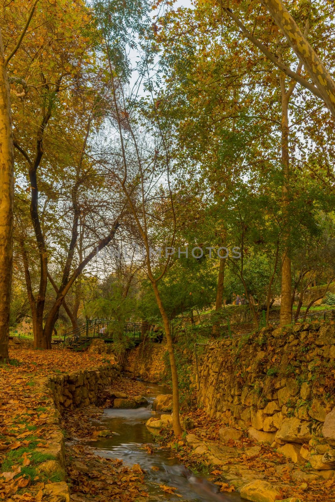 View of the Kesalon Stream with trees, and fall foliage, in En Hemed National Park (Aqua Bella), west of Jerusalem, Israel