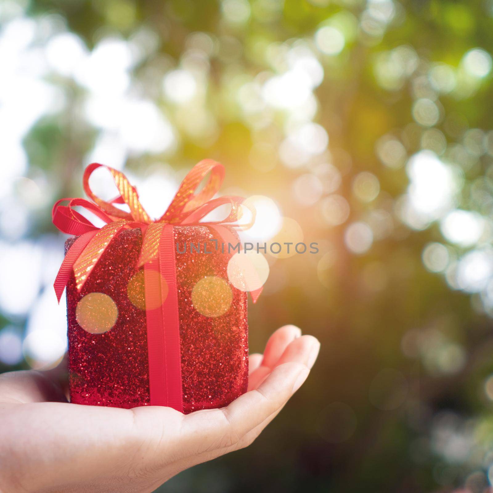 Hand hold gift box to someone on green bokeh nature. Celebration holiday concept.