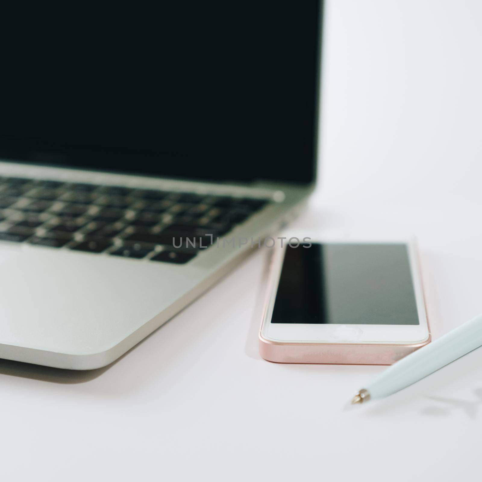 Laptop with white blank screen isolated on white background with small plant  and gadget decorate on working desk.