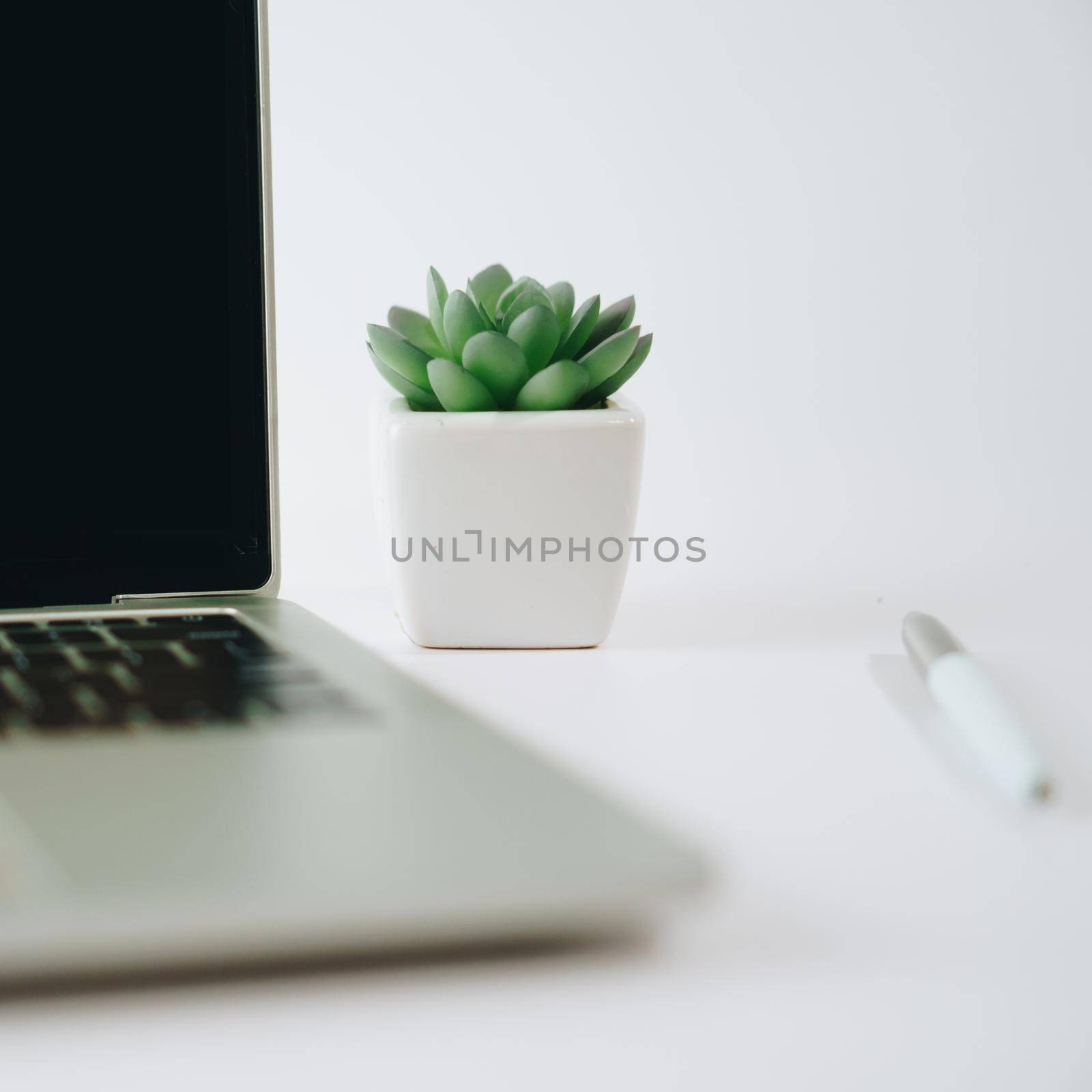 Laptop with white blank screen isolated on white background with small plant  and gadget decorate on working desk.