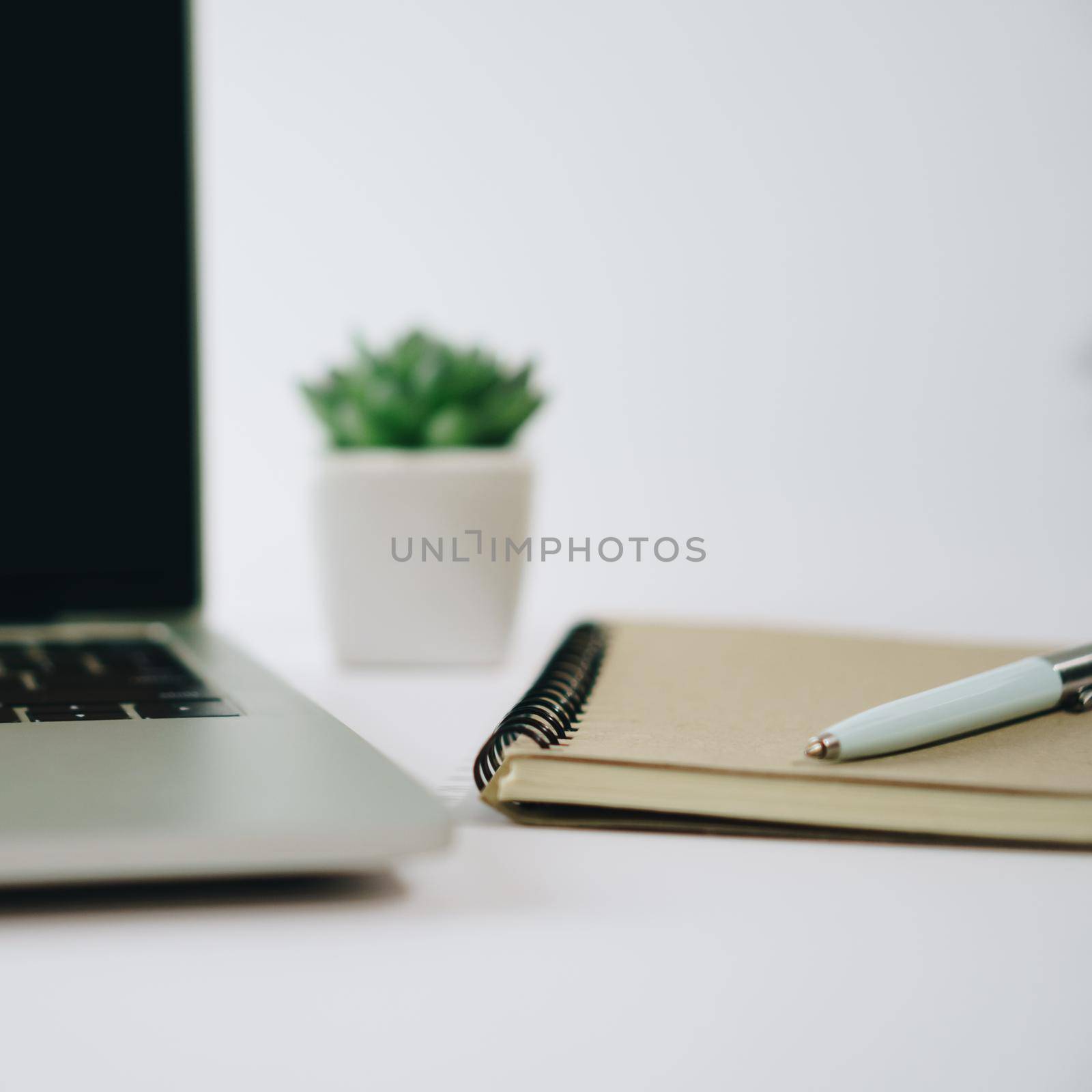 Laptop with white blank screen isolated on white background with small plant  and gadget decorate on working desk.