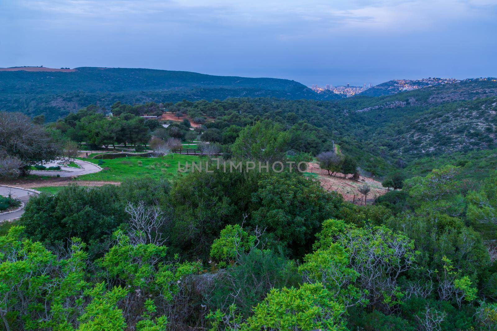 Landscape of the Hai-Bar Carmel Nature Reserve, and the slopes of Mount Carmel at blue hour (before sunrise). Northern Israel