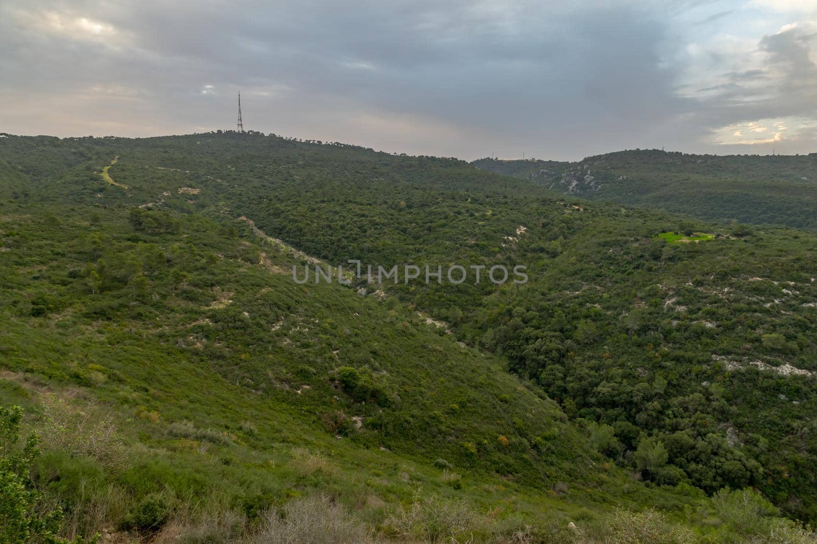 Sunrise view of the landscape of Hai-Bar Carmel Nature Reserve by RnDmS