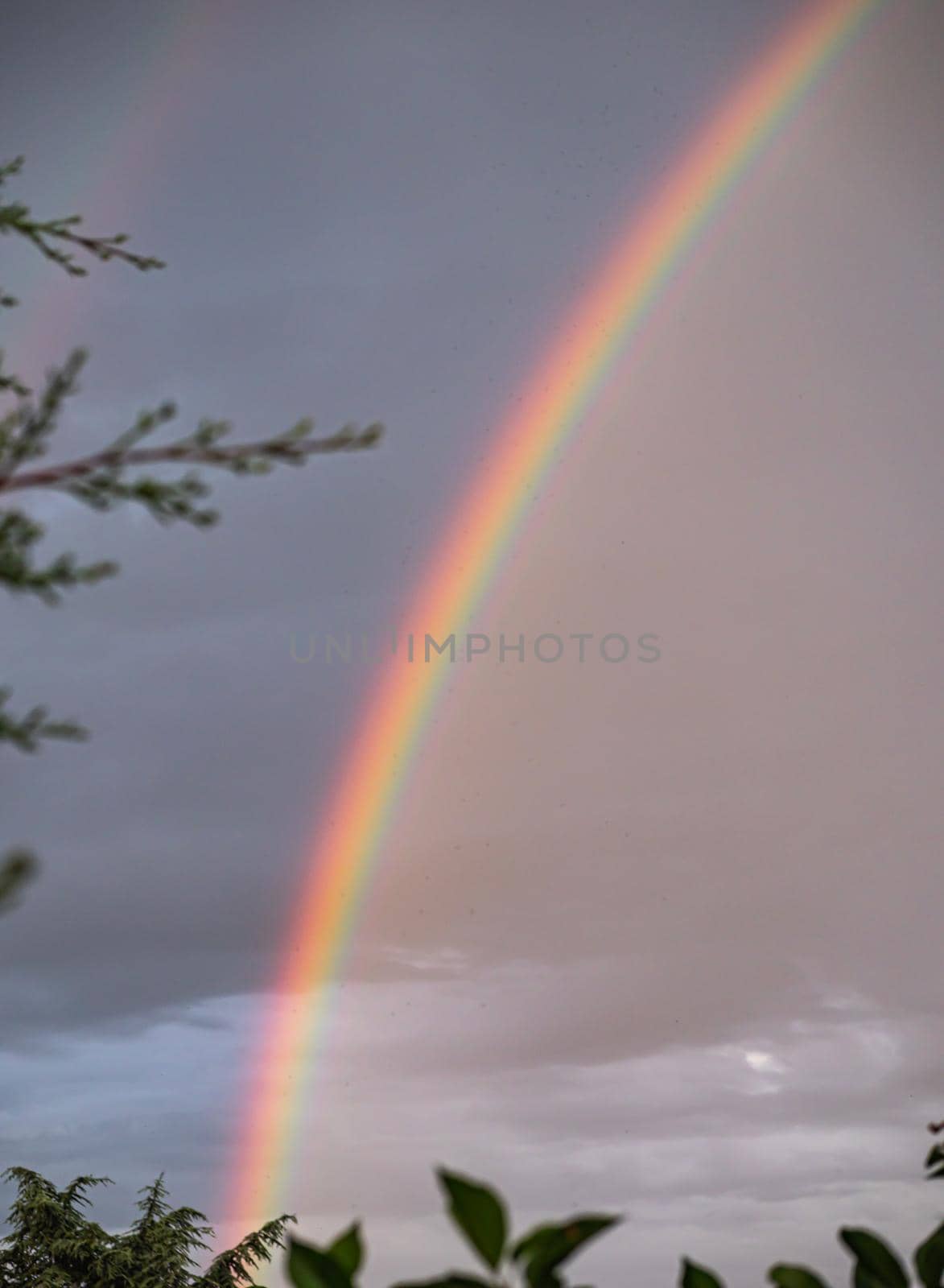 rainbow on the clouds sky by alex_nako