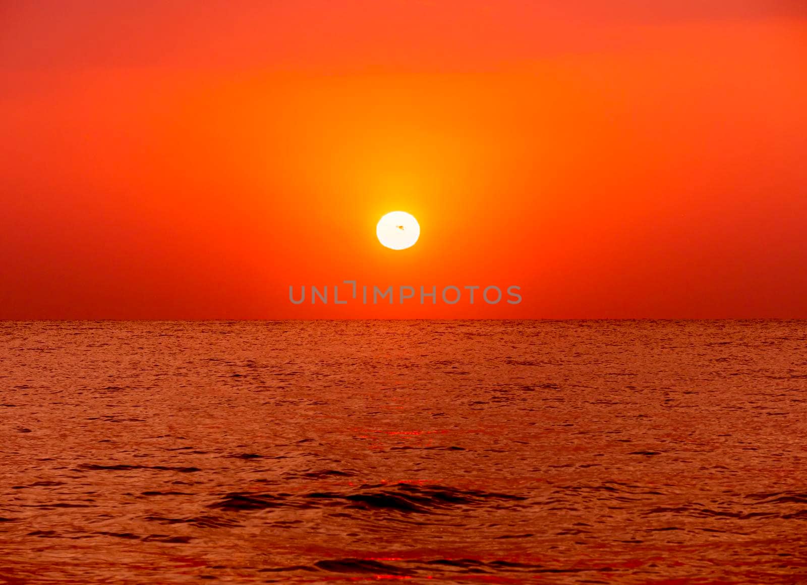 big sun over sea sunrise by alex_nako