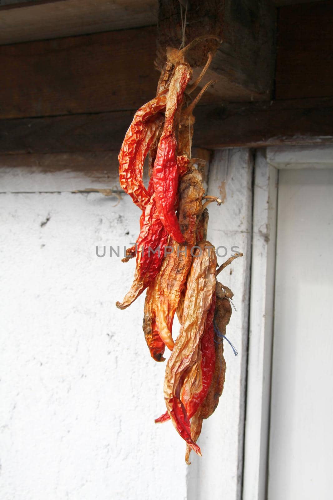 dried red peppers hung on the wall