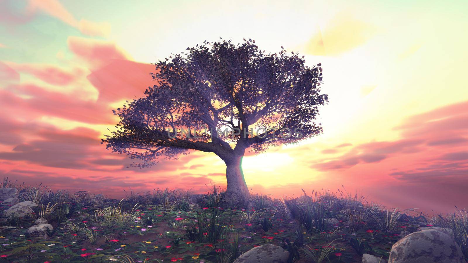 tree spring in meadow sunset illustration, 3d rendering