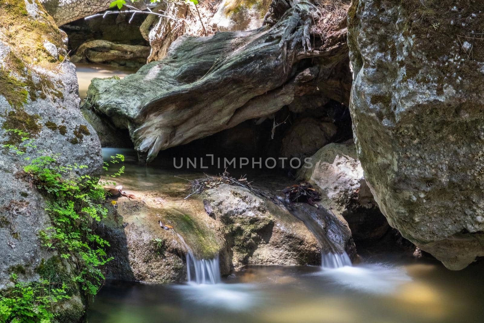 Water course with rocks in the valley of butterflies (Petaloudes) on Rhodes island, Greece  by reinerc