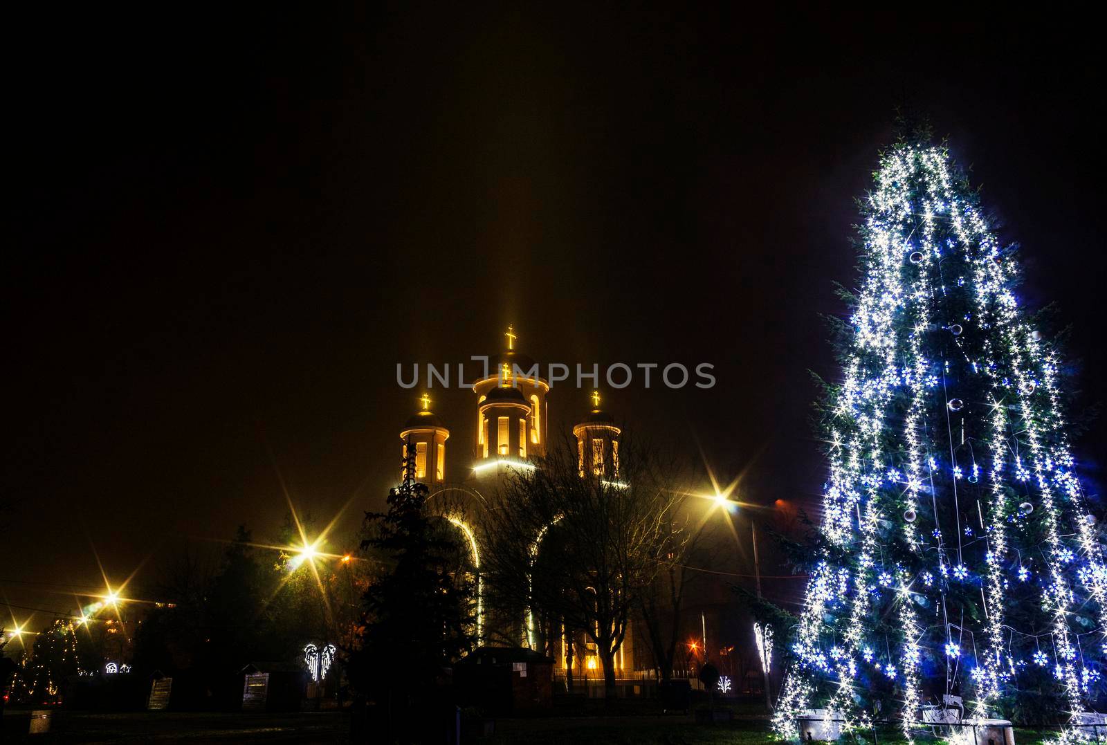 A Christmas tree near a cathedral