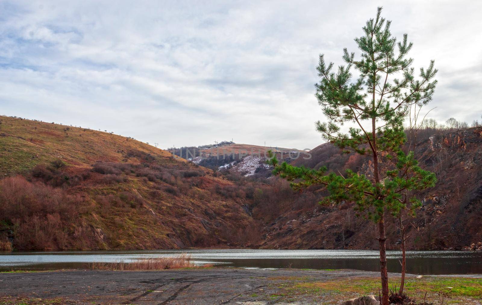 A fir tree near a coal lake overlooking the frozen hill