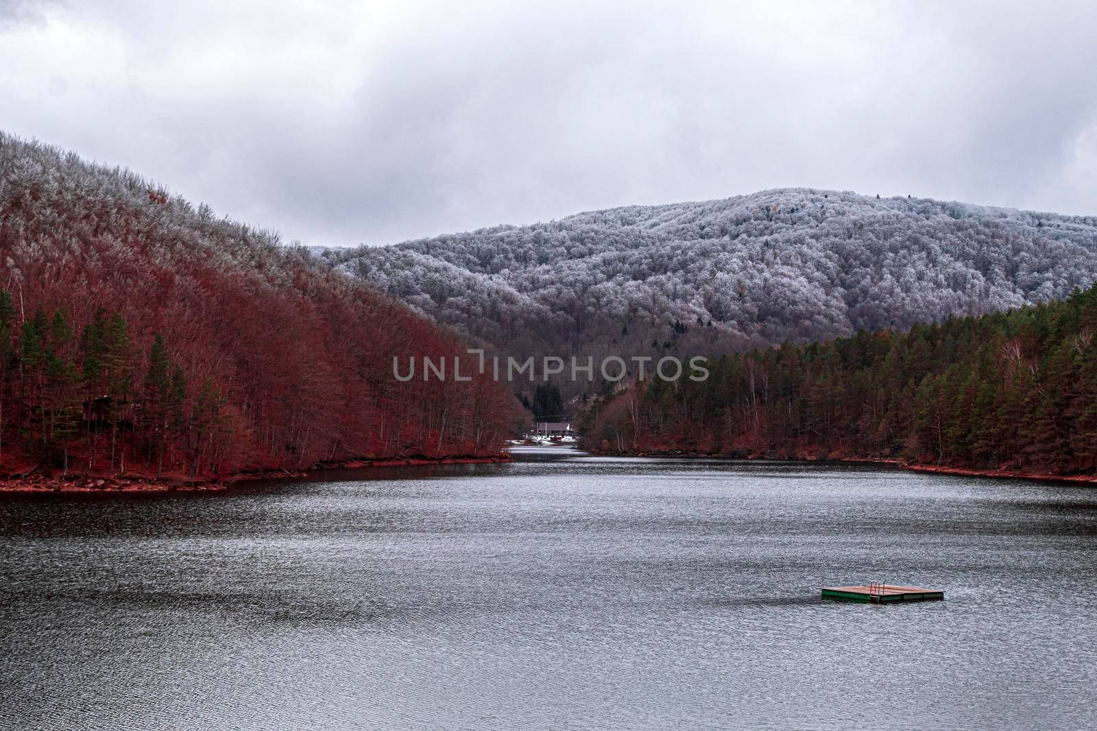A frozen lake, surrounded by two forests of different colors, in a city in Romania called Valiug