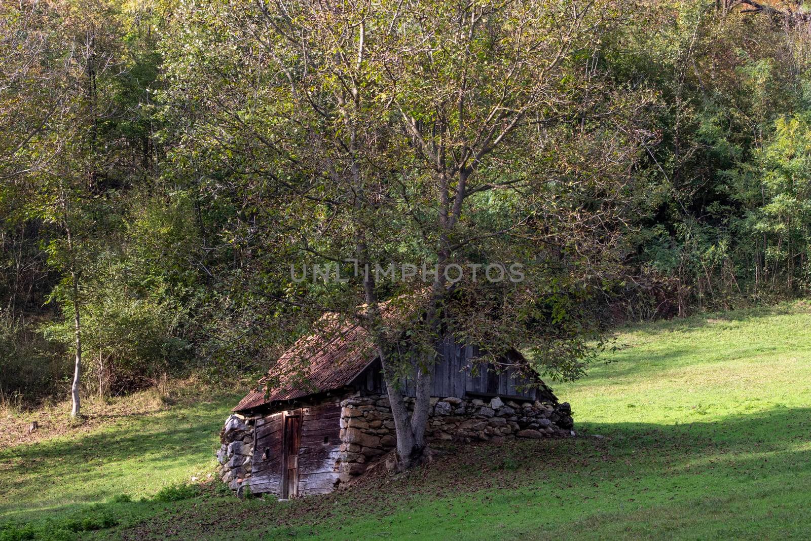 A mountain hut with a walnut tree beside it by bybyphotography