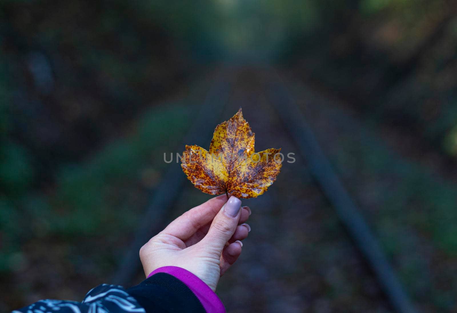 A yellow autumn leaf held in his hand in the direction of the train track