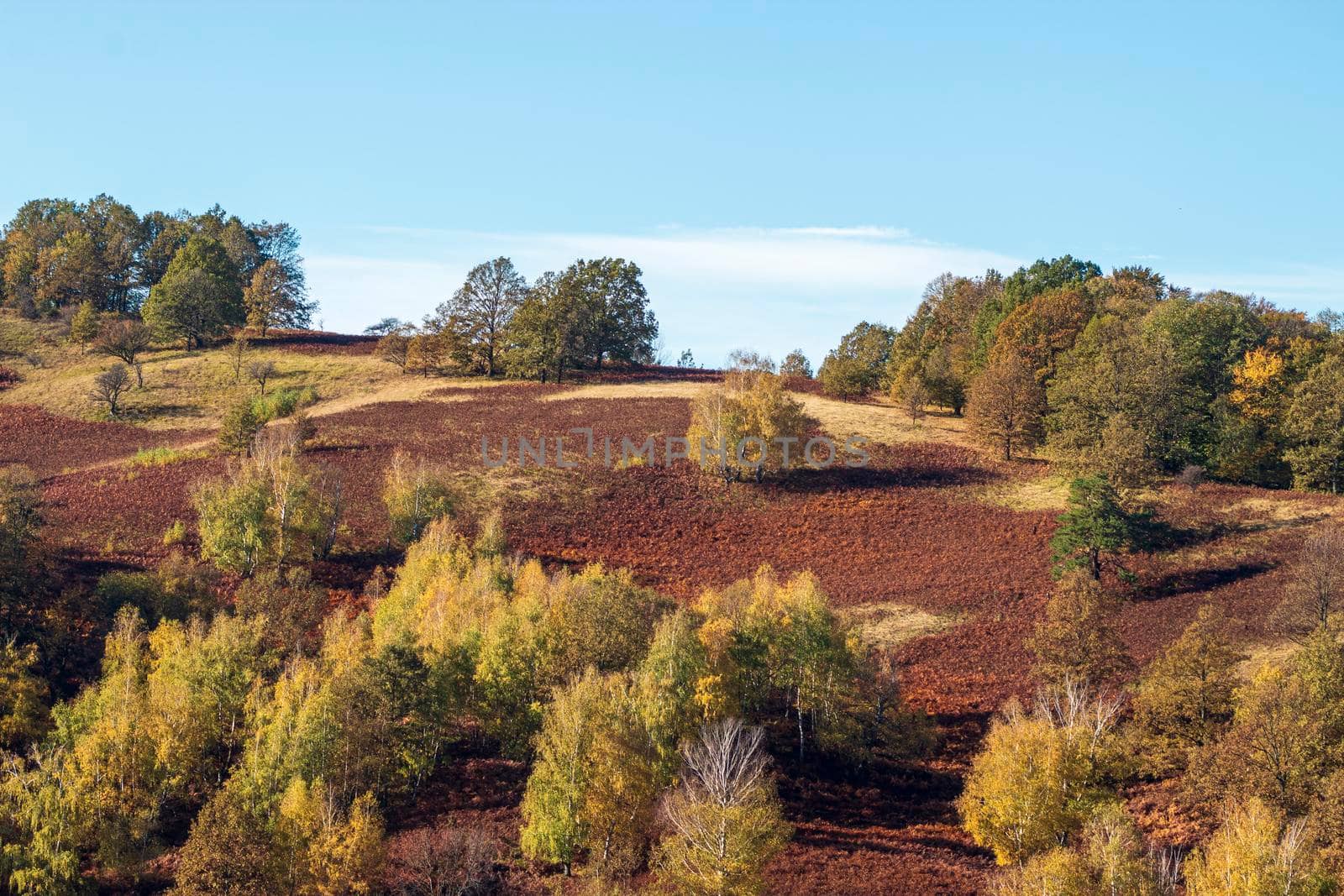 Autumn on the hill with the blue sky by bybyphotography