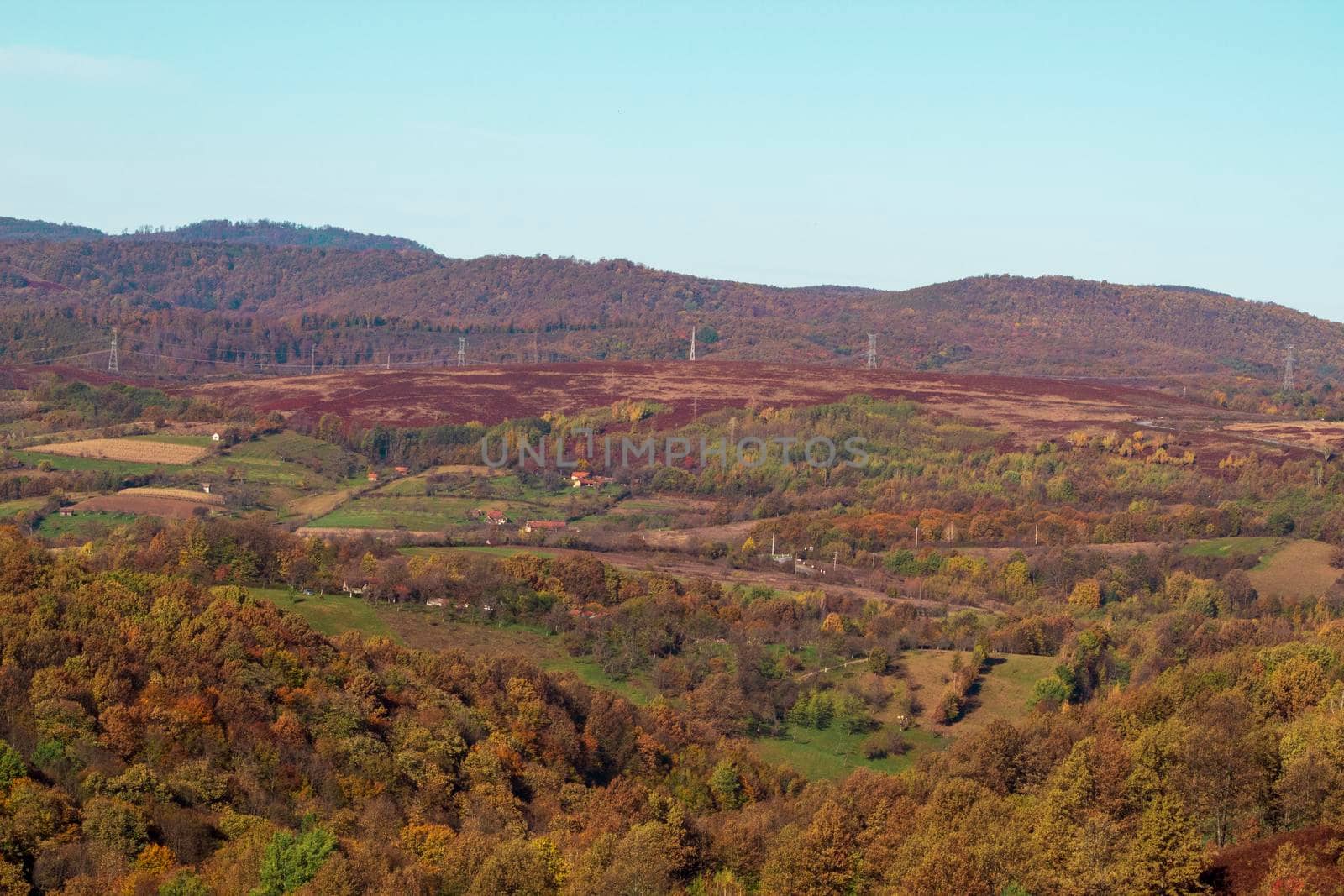 Beautiful forest covered by autumn that lay on it by bybyphotography