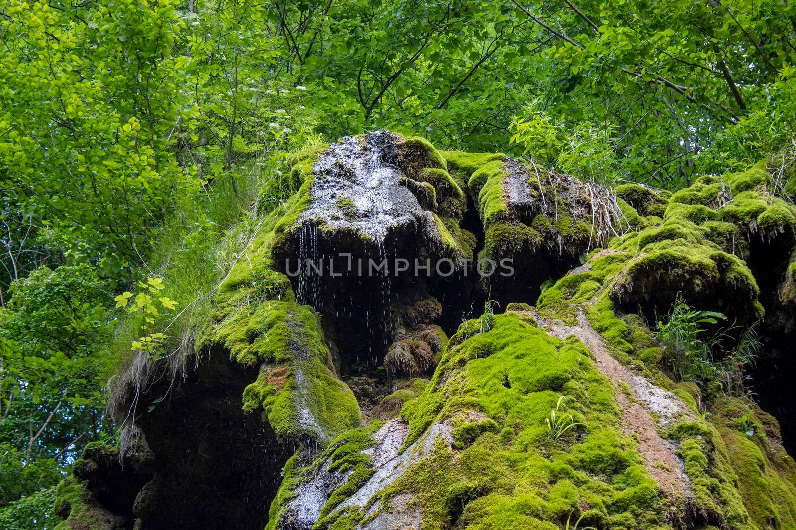 Beautiful green waterfall background with falling drops of water