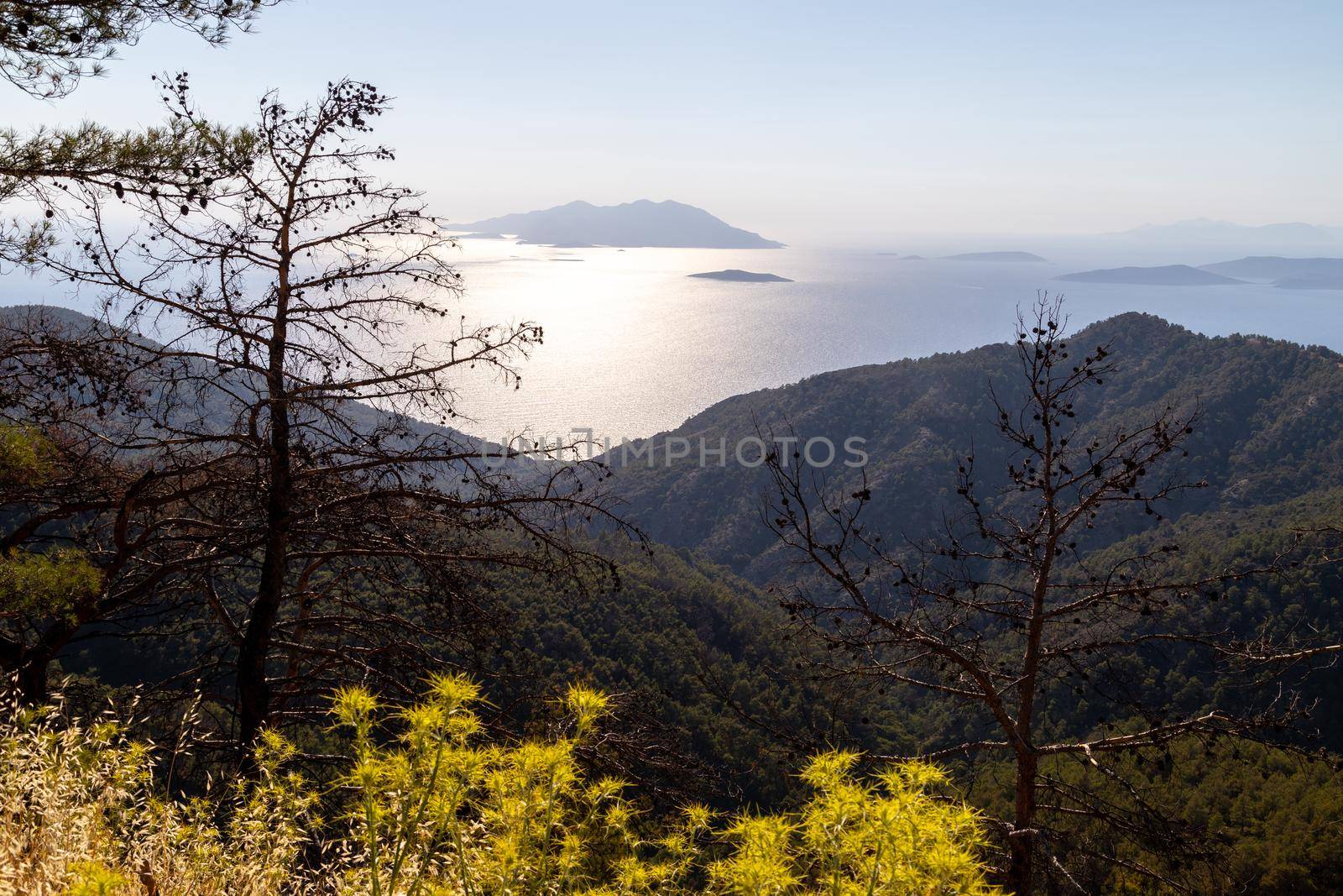 Backlight image from the westcoast of Greek island Rhodes with yellow plants, trees and forest in the foreground and the aegaen sea with small islands in the background by reinerc