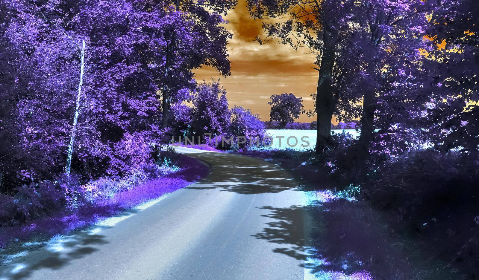 Beautiful purple infrared landscape in hires. by MP_foto71
