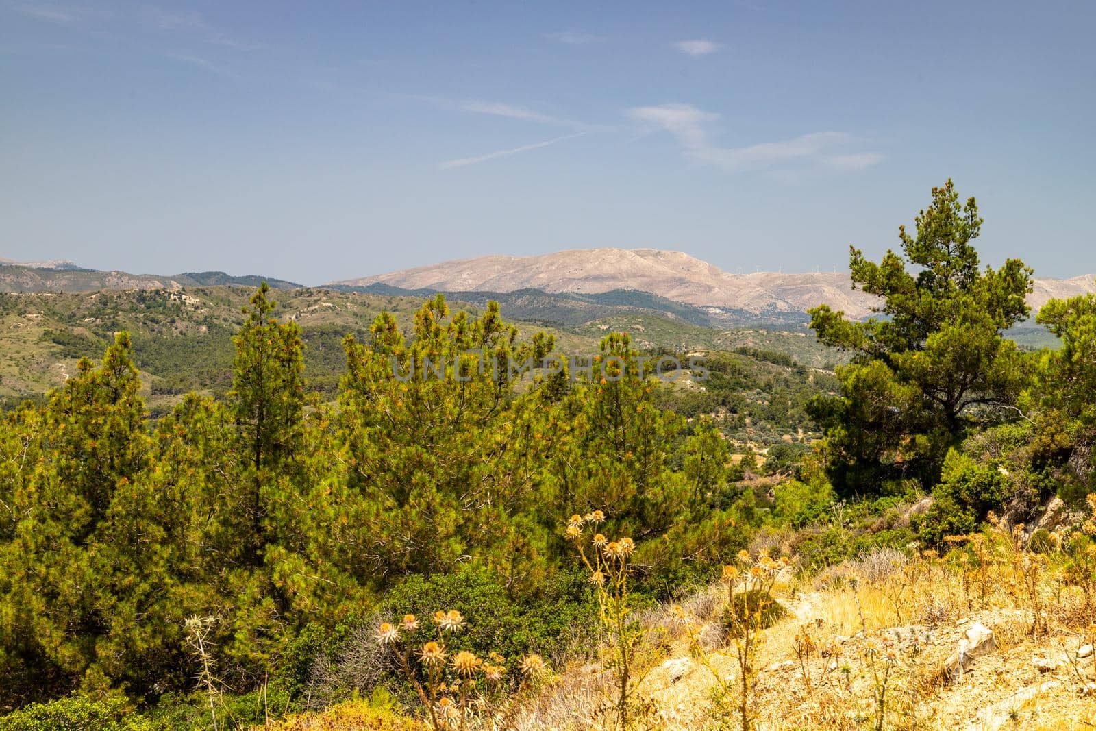 Scenic view at landscape nearby Asklipio on Rhodes island, Greece