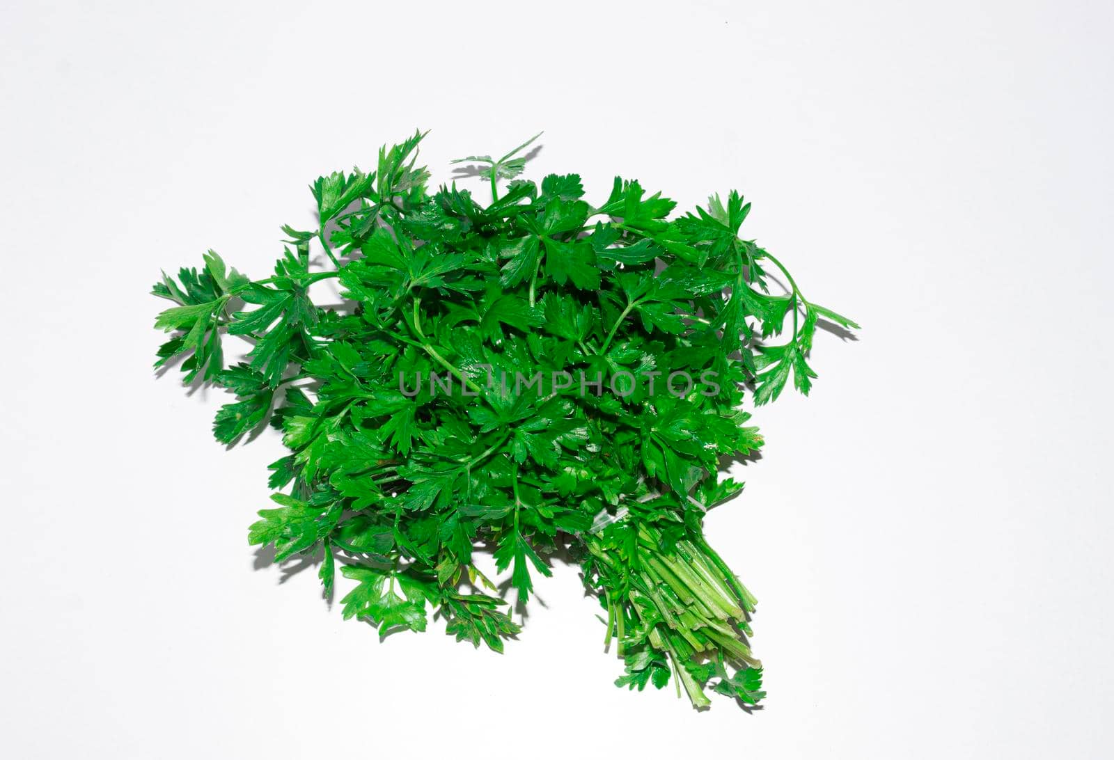 A bunch of parsley picked from the garden