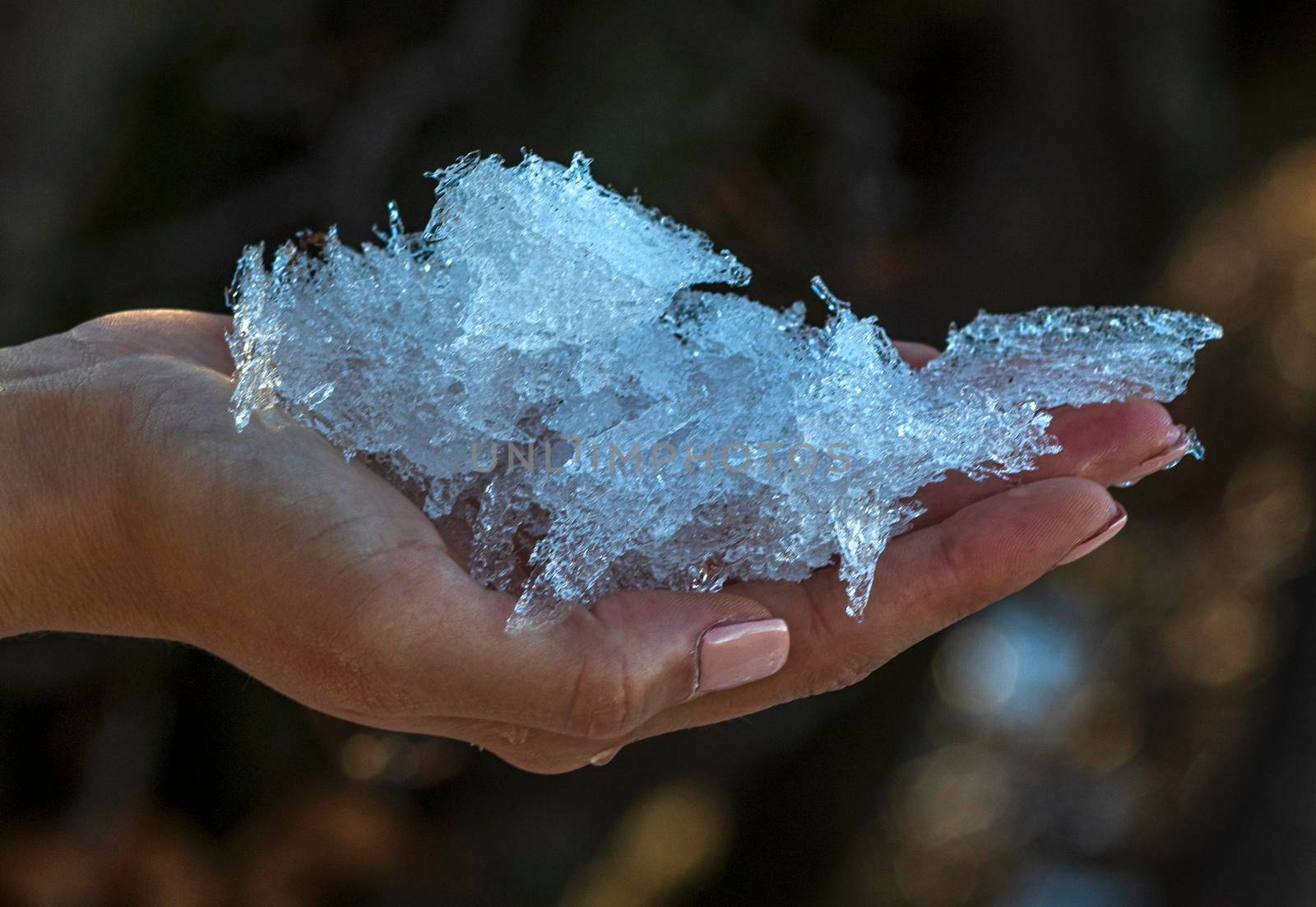 A hand full of ice on a blurred background
