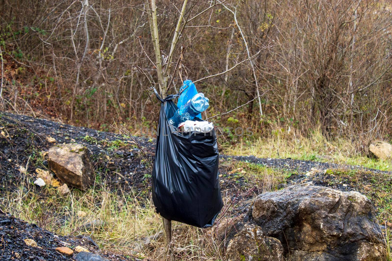 Plastic bottles in the trash in nature