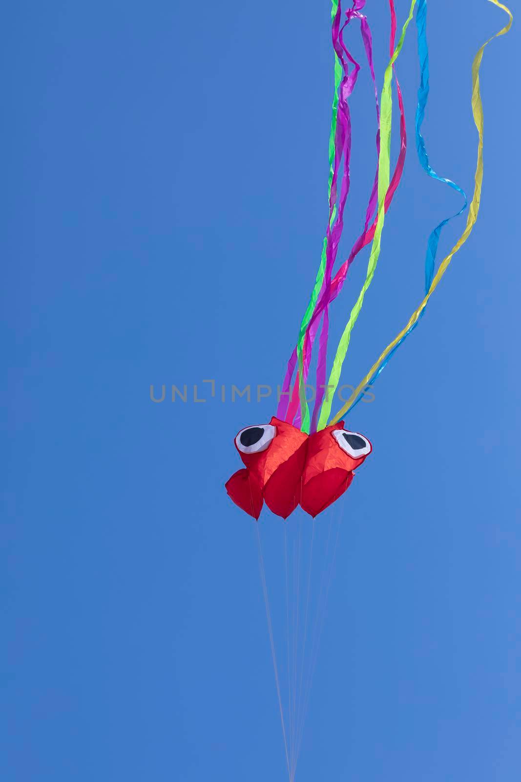 Octopus kite with vivid colors flying. by alvarobueno