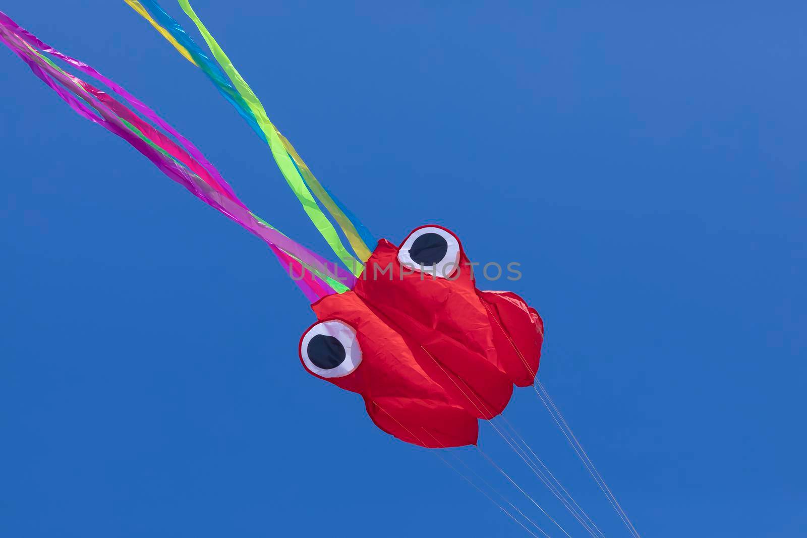 Kite in the shape of an octopus, with abstract lines in motion, in vivid colors, formed by wrinkled fabrics that float lightly on a solid color background.