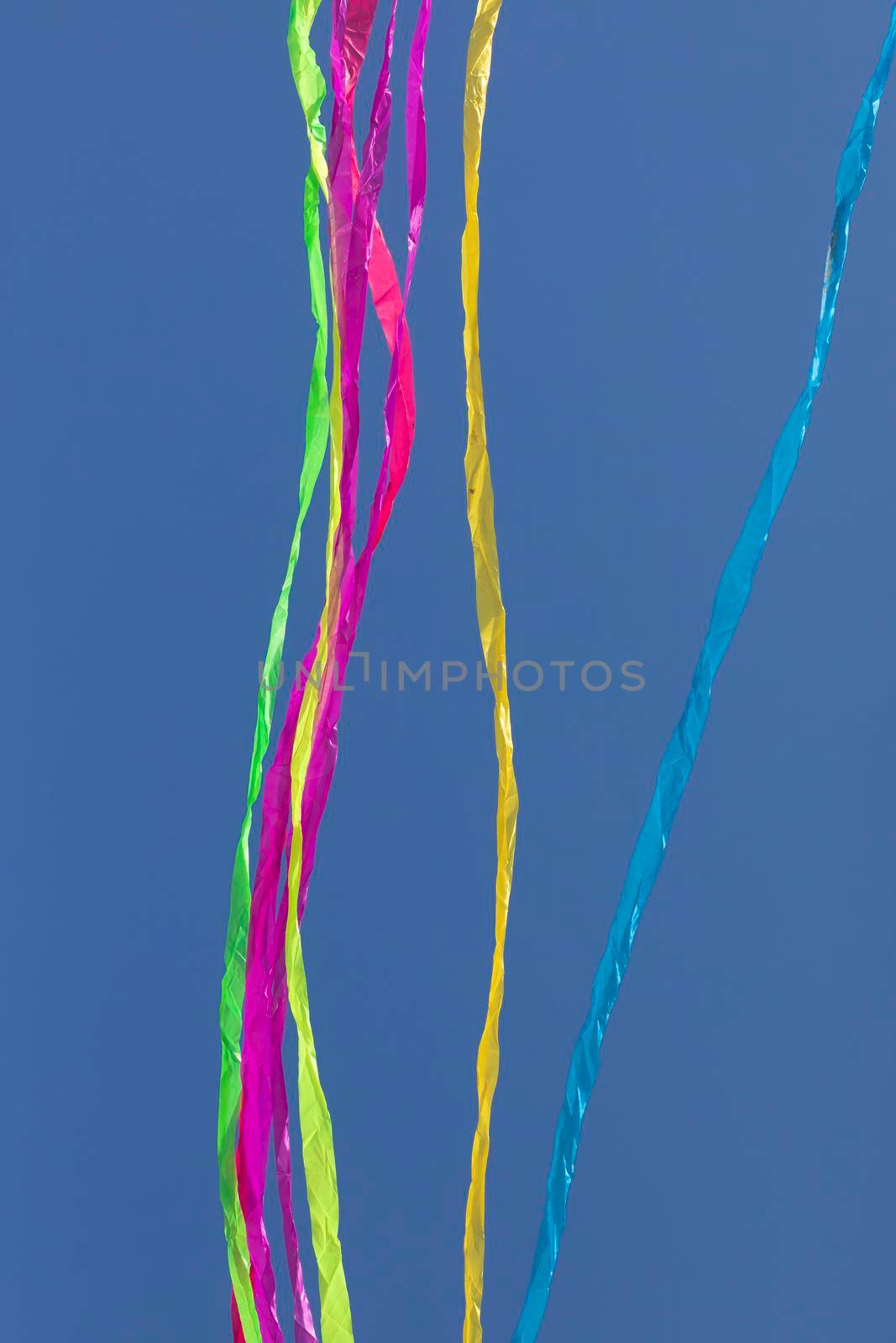 Colored ribbons and lines, floating on a plain background. by alvarobueno