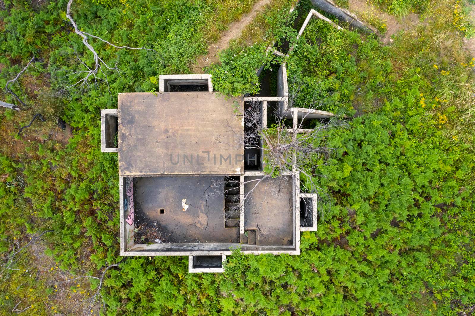 Aerial photograph of structural ruins and forest regeneration after bushfires near Clarence in the Central Tablelands in regional New South Wales in Australia