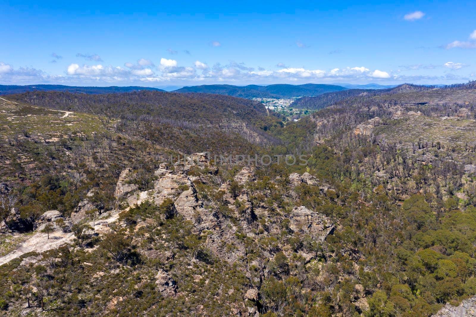 Aerial view of forest regeneration in a valley in regional Australia by WittkePhotos