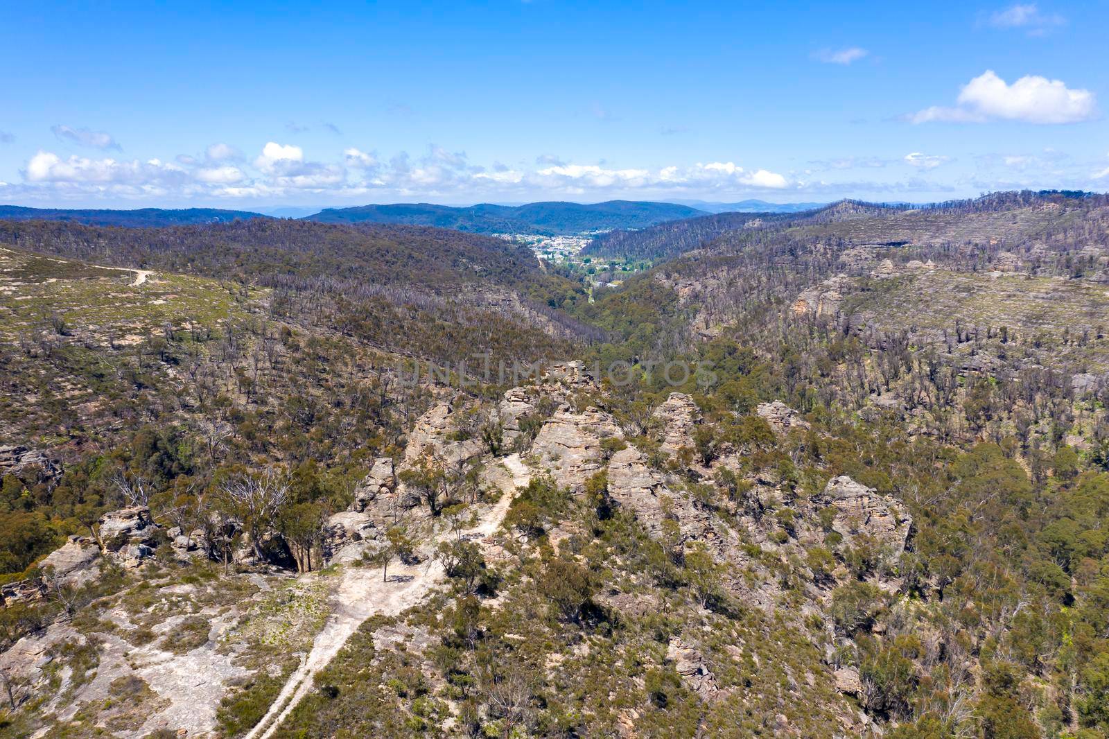 Aerial view of forest regeneration in a valley in regional Australia by WittkePhotos