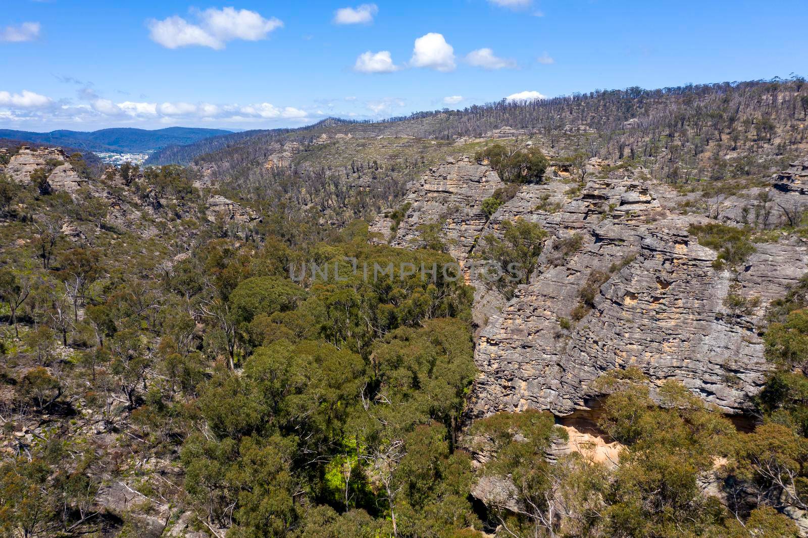 Aerial view of forest regeneration after bushfires in a large valley in the Central Tablelands in regional New South Wales in Australia