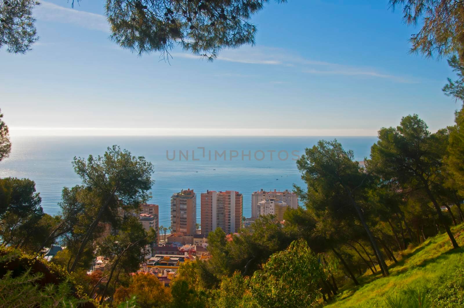 View on the mediterranean sea, buildings and pine trees, Malaga, Spain