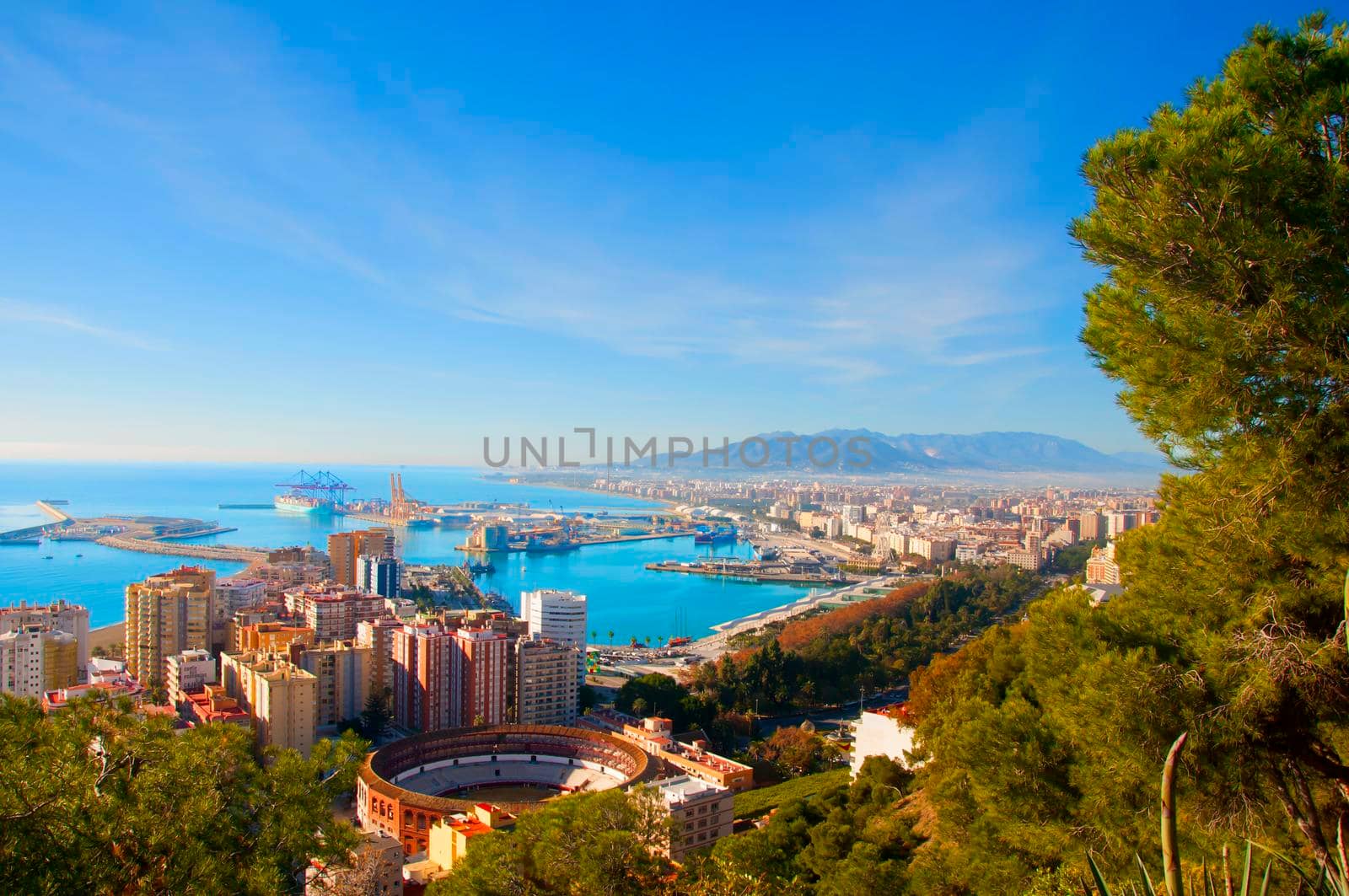 View on the mediterranean sea, buildings, pine trees and mountains. Malaga, Spain